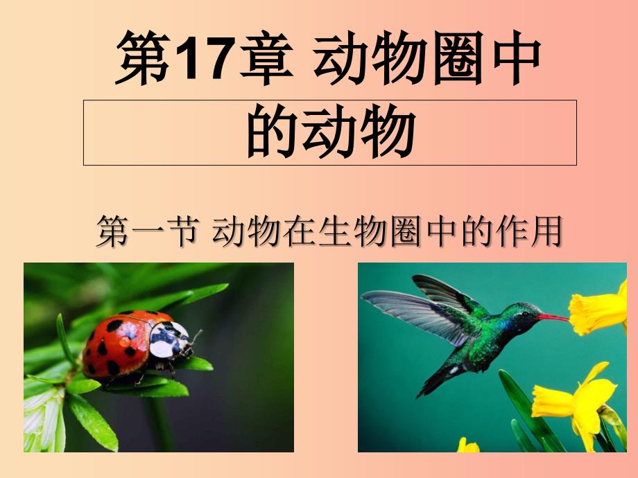 八年级生物上册 17.1《动物在生物圈中的作用》课件5 （新版）北师大版.ppt_第1页