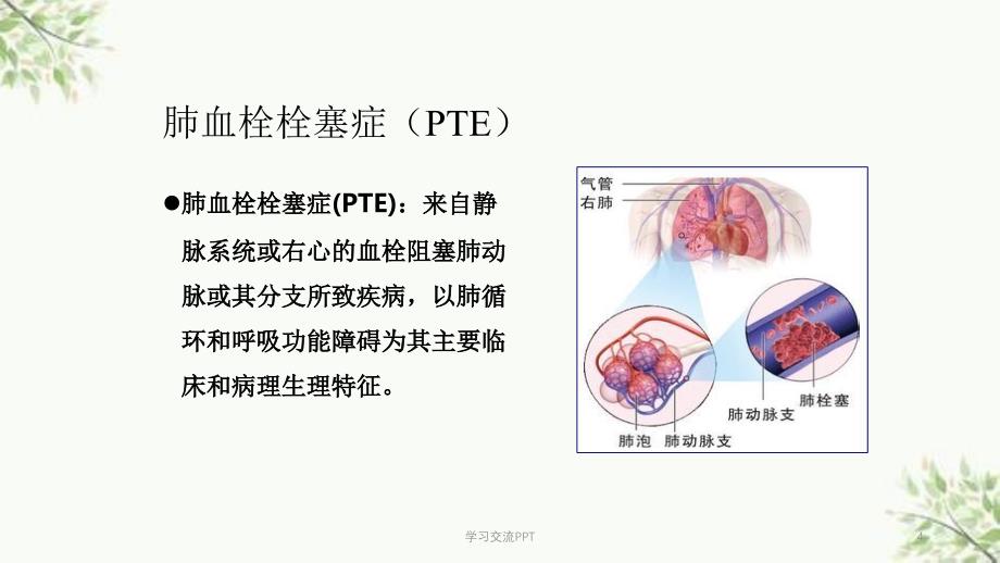 VTE预防健康教育课件_第4页