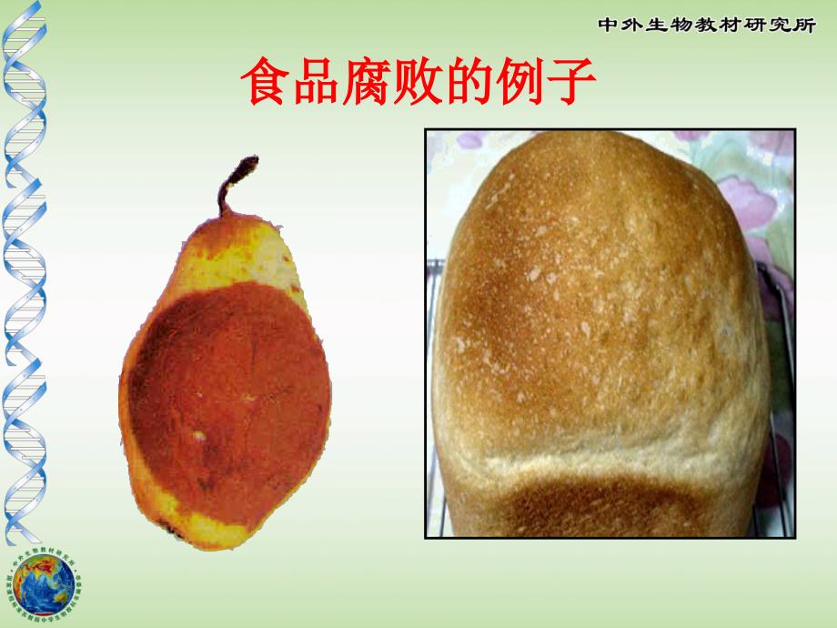 初中生物食品保存.ppt_第2页