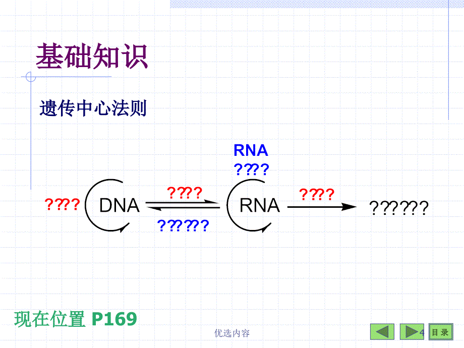 第三章 核酸扩增技术课件#高等教育_第4页