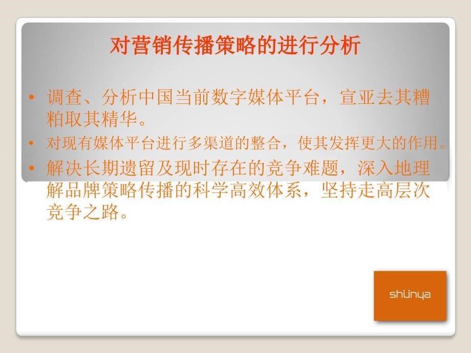 宣亚品牌数字传播策略.ppt_第5页