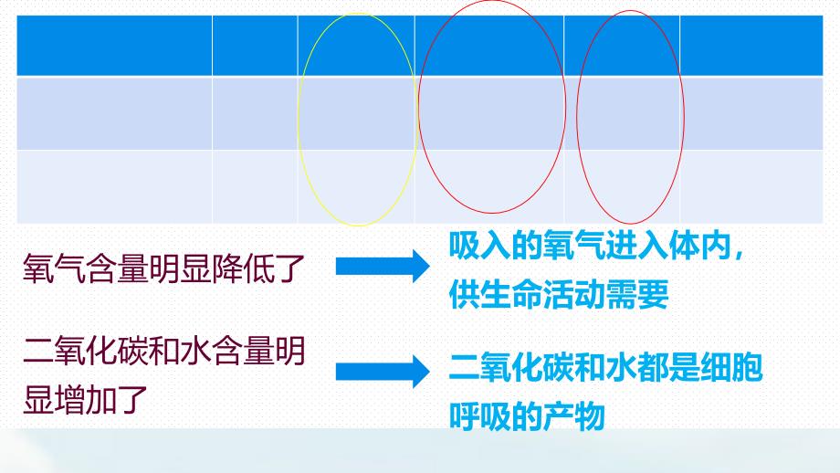 发生在肺内的气体交换ppt课件_第3页