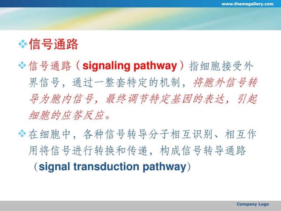 第十六章 细胞内信号传导通路ppt.ppt_第3页