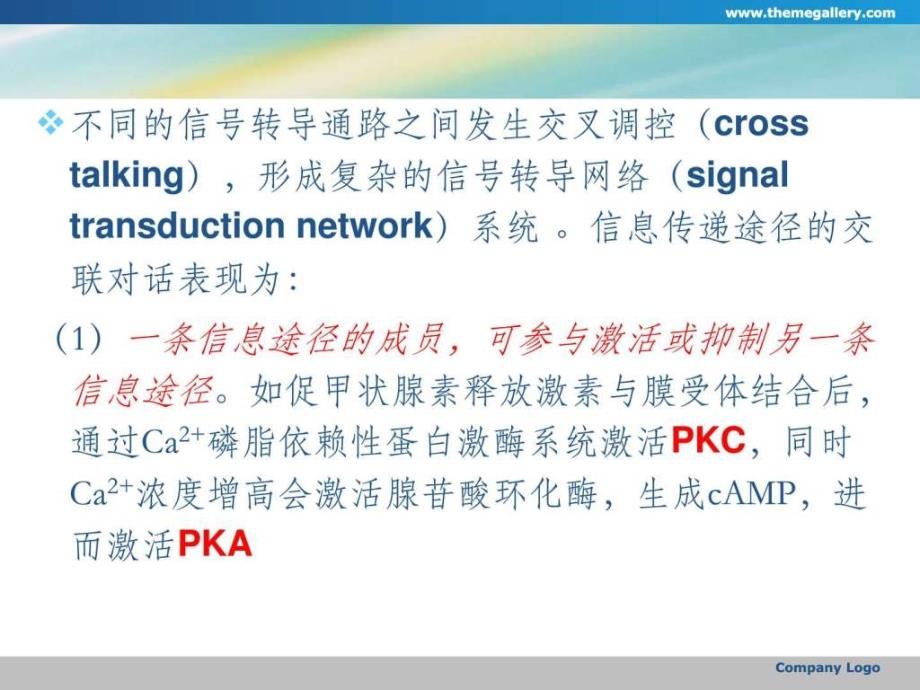 第十六章 细胞内信号传导通路ppt.ppt_第4页