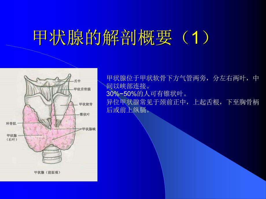 《规范甲状腺检查》PPT课件_第3页