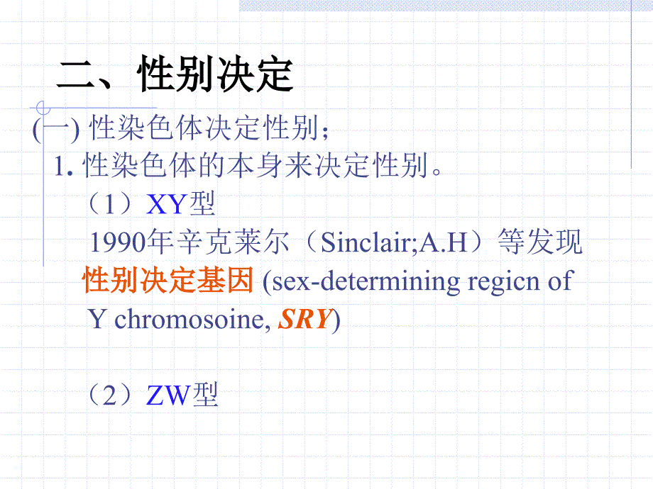 分子遗传学3性别决定与性相关遗传A课件_第3页