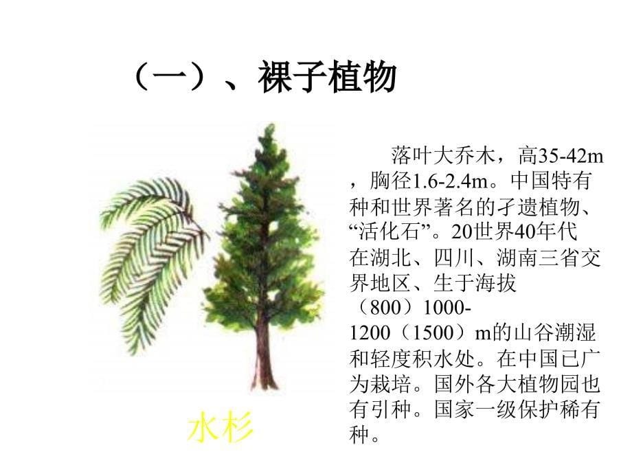 七年级生物种子植物3_第5页