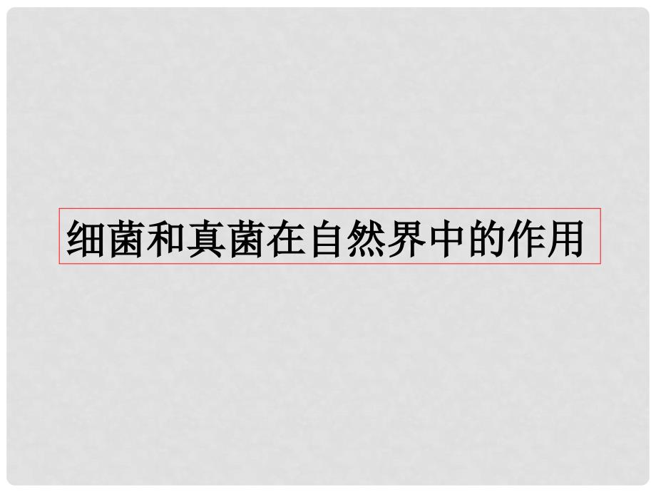 内蒙古八年级生物上册 5.4.4 细菌和真菌在自然界中的作用课件2 （新版）新人教版_第1页