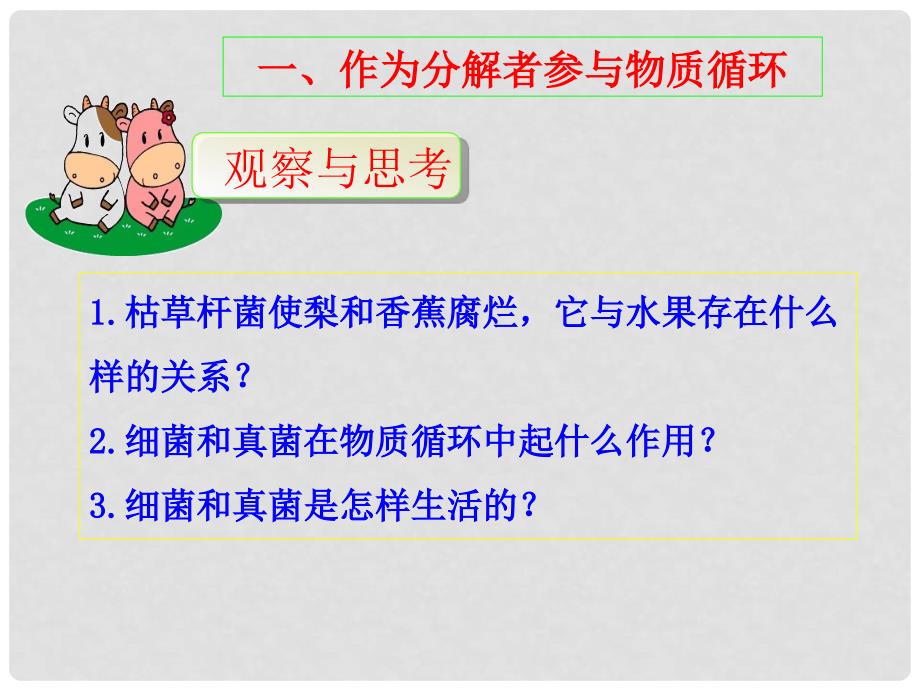 内蒙古八年级生物上册 5.4.4 细菌和真菌在自然界中的作用课件2 （新版）新人教版_第2页