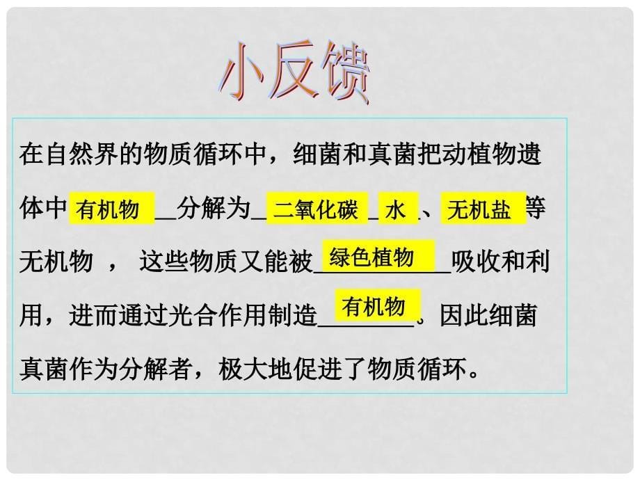 内蒙古八年级生物上册 5.4.4 细菌和真菌在自然界中的作用课件2 （新版）新人教版_第5页