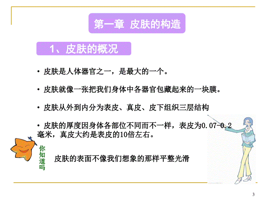 （优质课件）皮肤基础知识_第3页