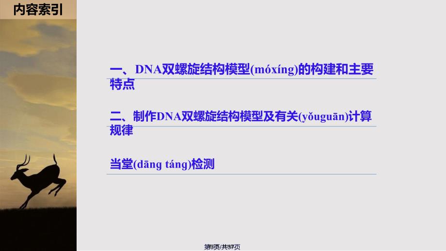 DNA分子的结构实用教案_第3页