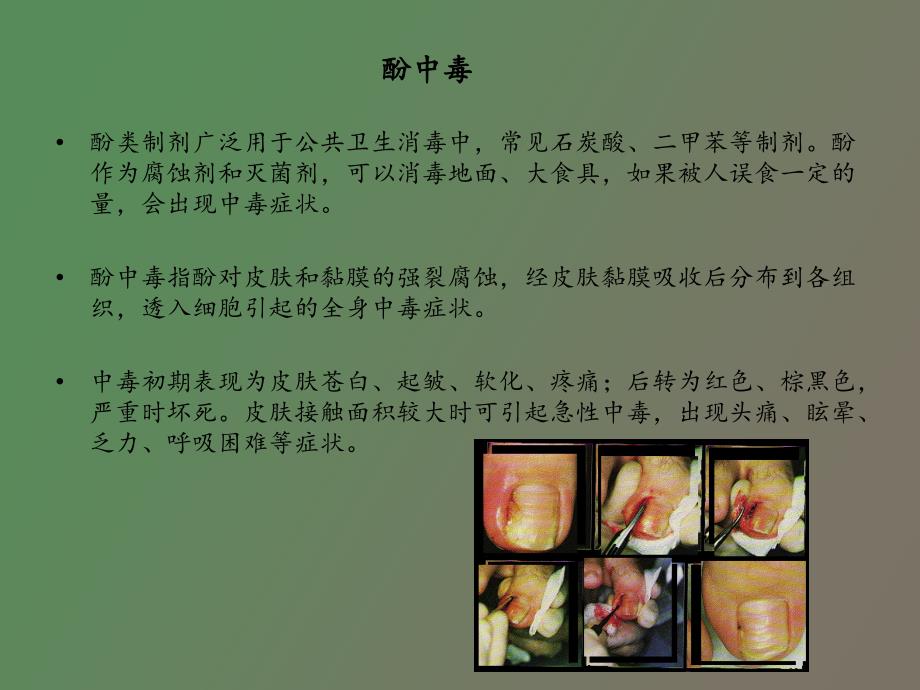 酚类有机污染物_第4页