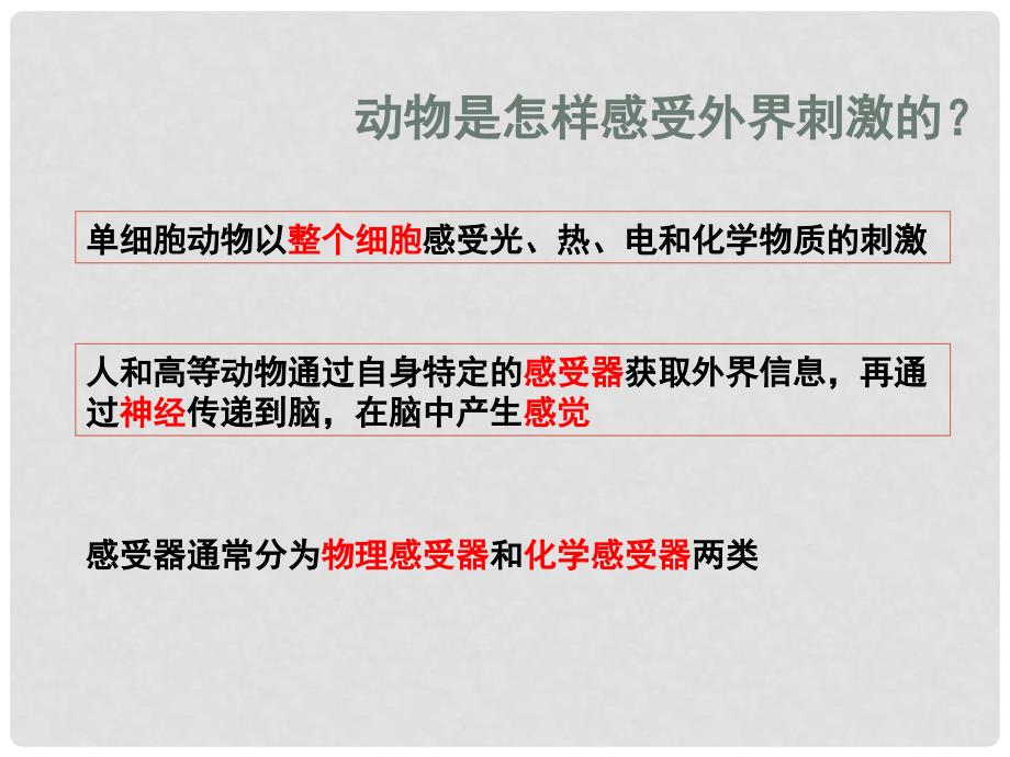 高中生物 第二册 第5章 生物体对信息的传递和调节 5.1 动物体对外界信息的获取课件4 沪科版_第2页