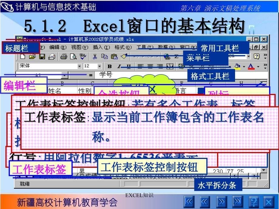 EXCEL知识课件_第5页