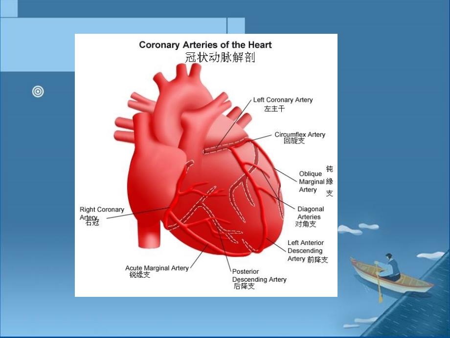 冠状动脉搭桥手术体外循环管理课件_第3页