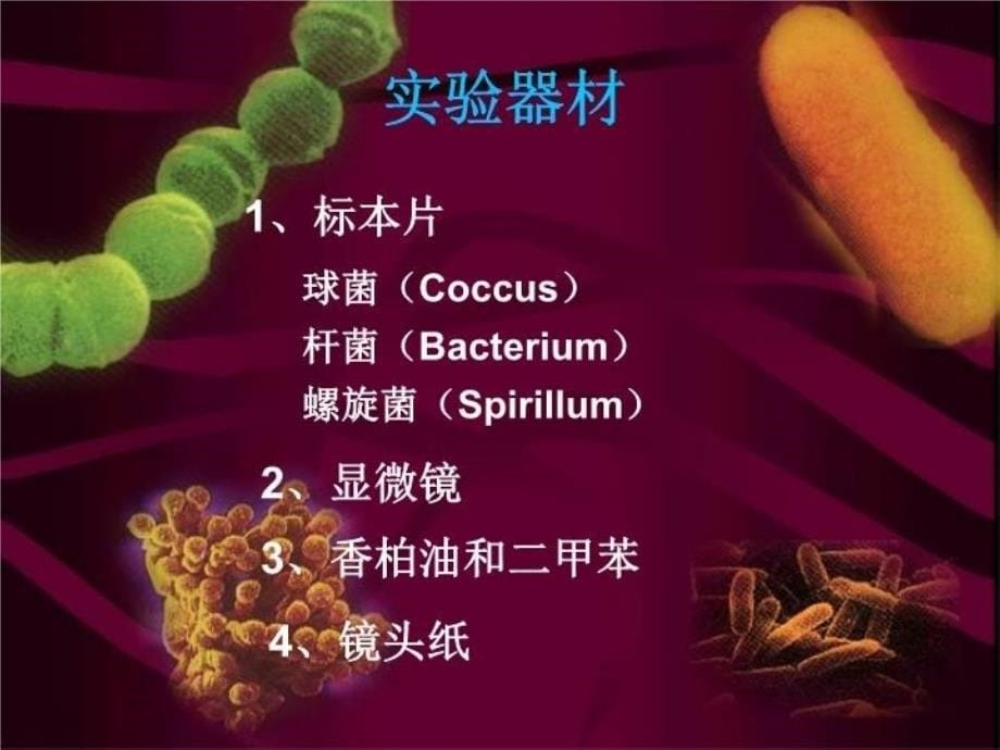 最新实验一油镜的使用及细菌形态观察PPT课件_第5页