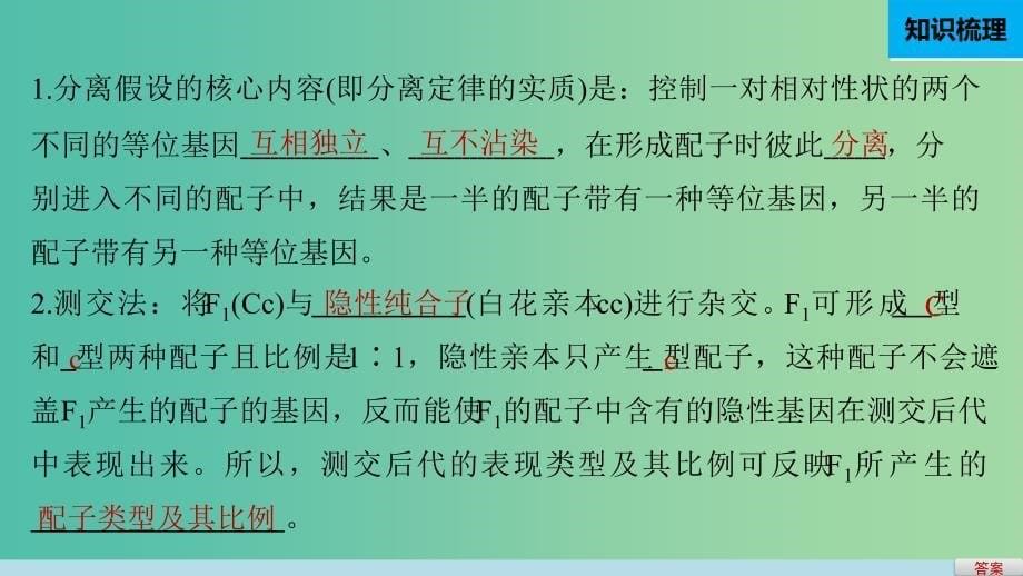 高中生物 第一章 第一节 分离定律课件2 浙科版必修2.ppt_第5页