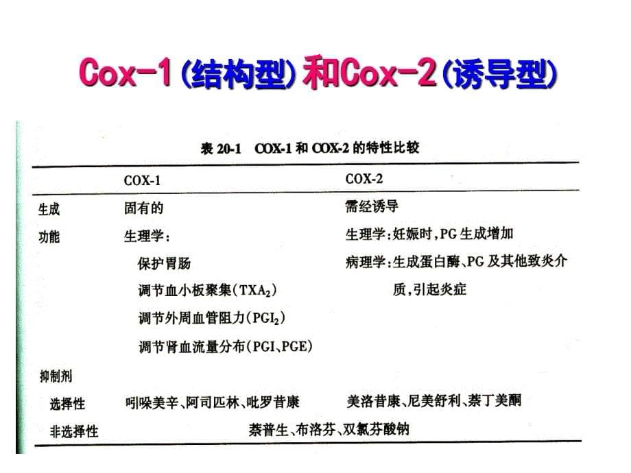 第9章--解热镇痛抗炎药课件_第5页