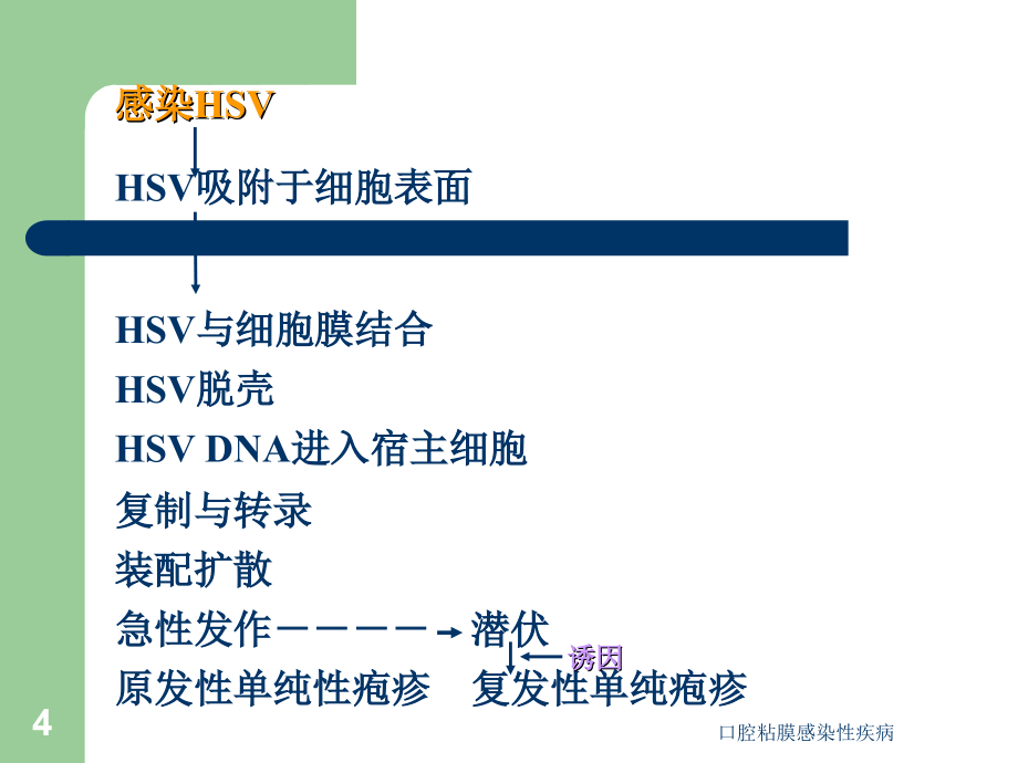 最新口腔粘膜感染性疾病_第4页