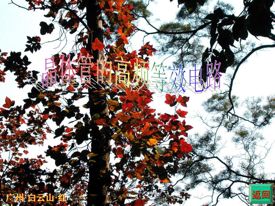 晶体管的高频等效电路课件_第1页