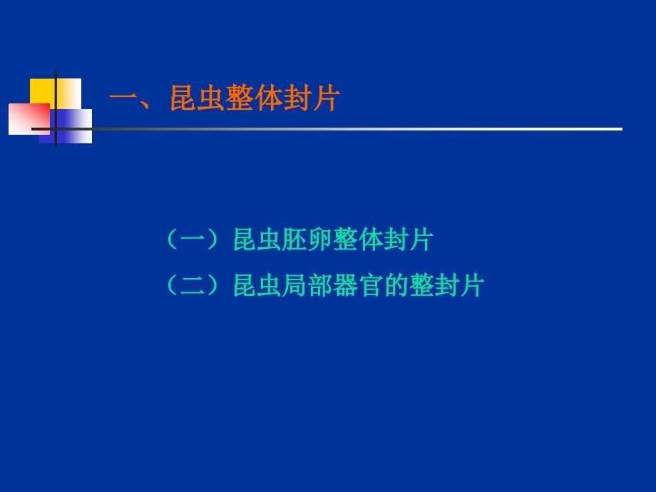 《观察标本的处理》PPT课件.ppt_第5页