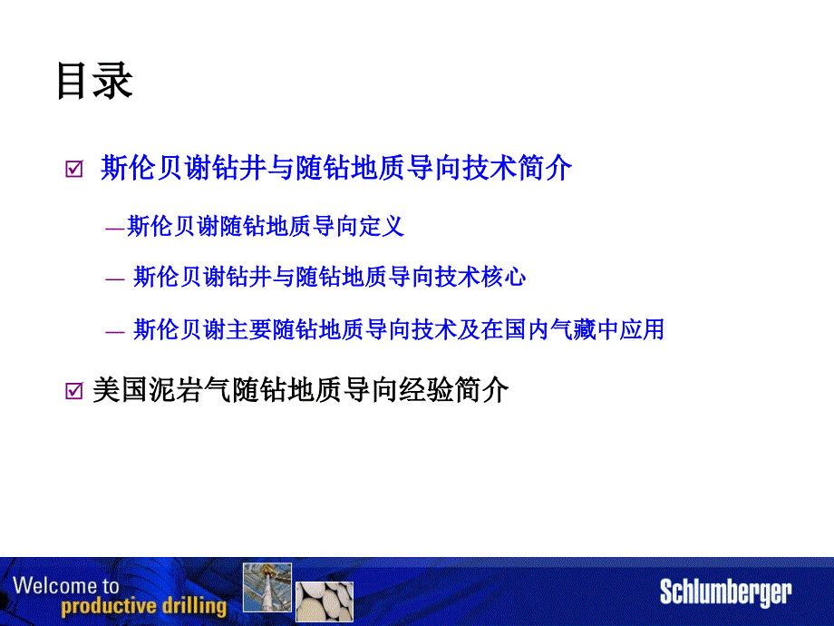 斯伦贝谢水平井随钻测井地质导向技术介绍_第3页