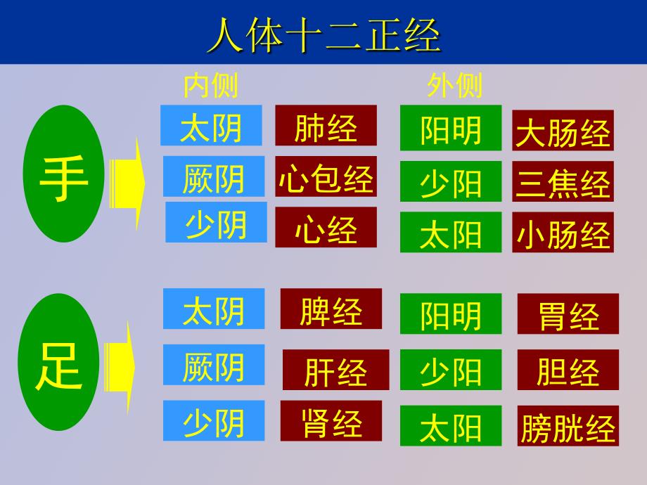 特效穴位之原穴附有穴位_第4页