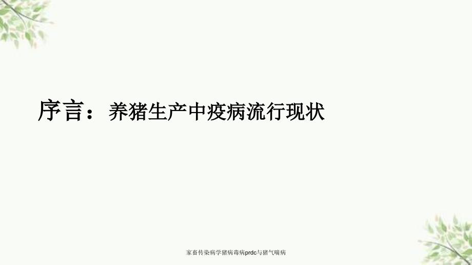 家畜传染病学猪病毒病prdc与猪气喘病课件_第2页