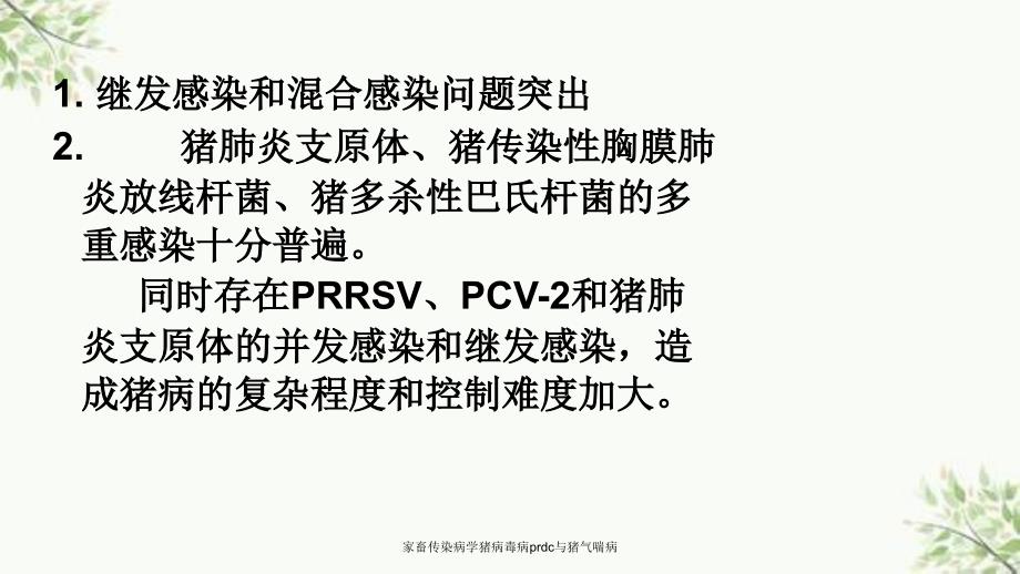 家畜传染病学猪病毒病prdc与猪气喘病课件_第3页