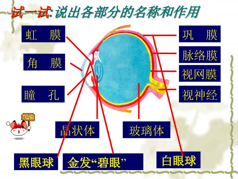 人体对外界环境的感知课件_第3页