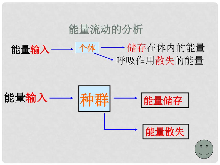 山东地区高中生物备课资料 《生态系统的能量流动》课件 新人教版必修3_第4页