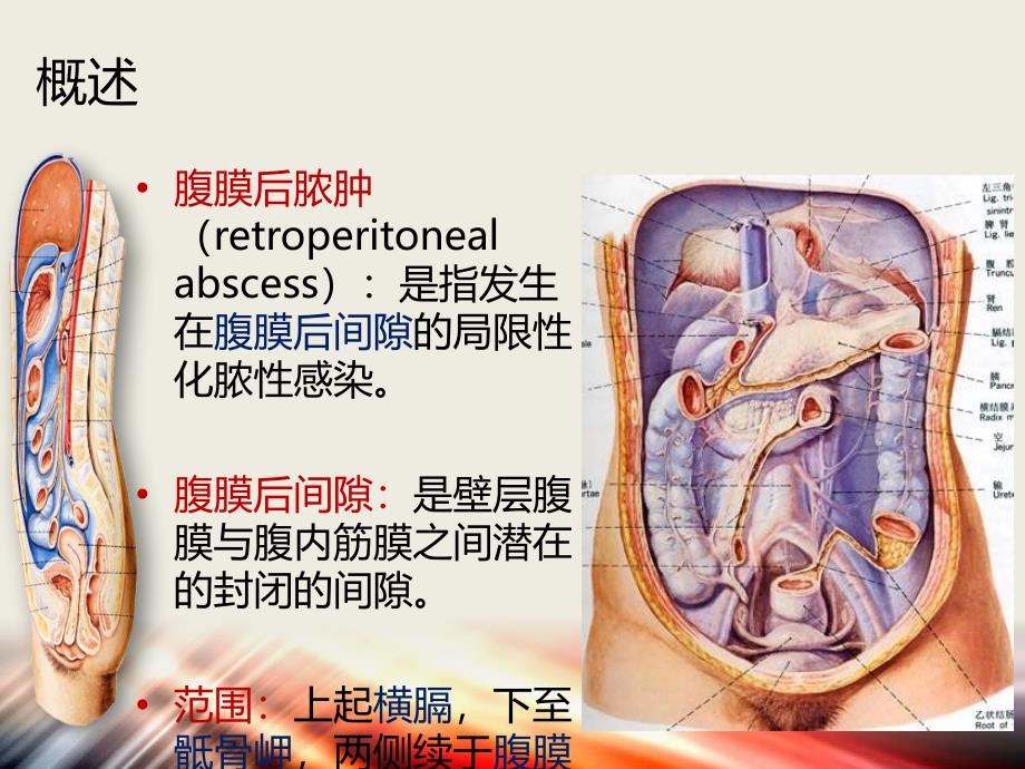 腹膜后感染与脓肿_第2页