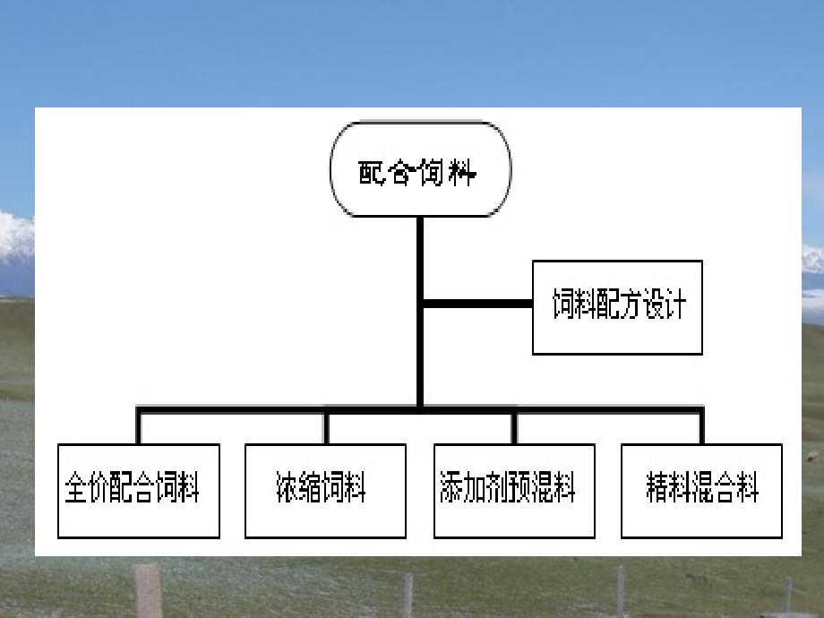 《绵羊营养与补饲》PPT课件_第3页