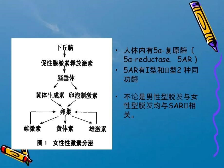 女性型脱发诊疗进展ppt课件_第5页