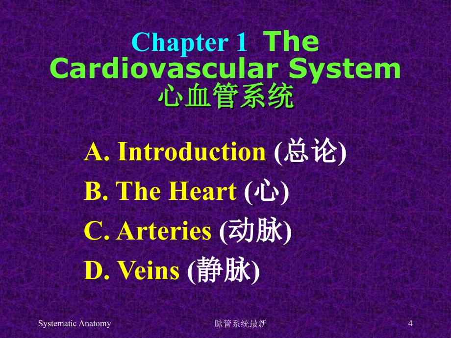 脉管系统最新课件_第4页