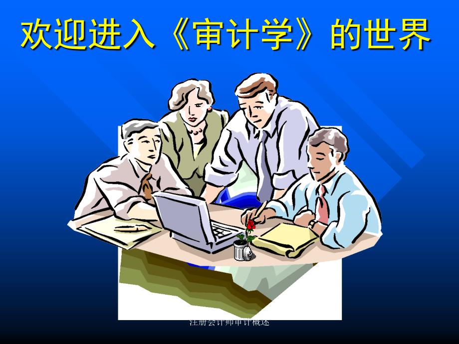 注册会计师审计概述课件_第1页