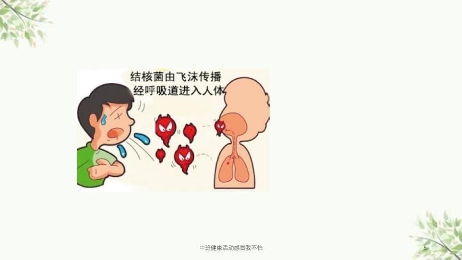 中班健康活动感冒我不怕课件_第5页