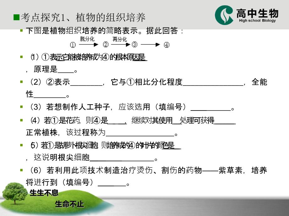 人教版教学课件植物细胞工程复习课件_第3页