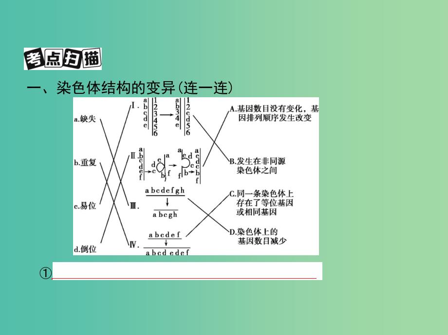 北京专用2019版高考生物一轮复习第19讲染色体变异与育种课件.ppt_第3页