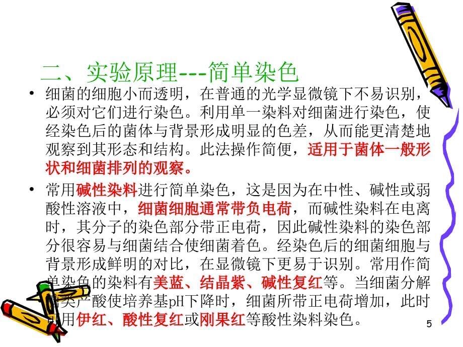 细菌的革兰氏染色和形态观察PowerPoint演示文稿_第5页