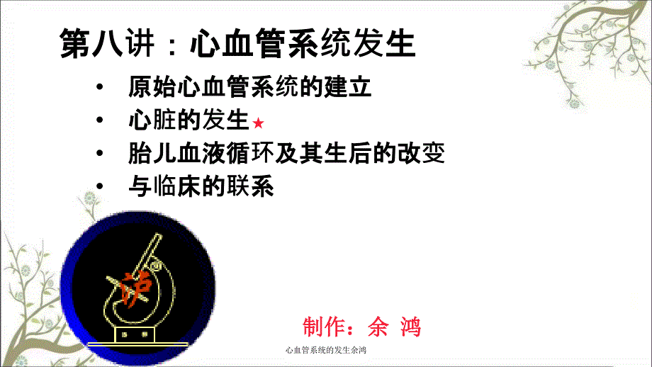 心血管系统的发生余鸿课件_第4页