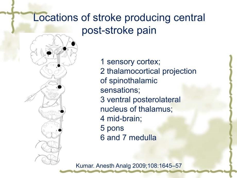 卒中后中枢痛_第5页