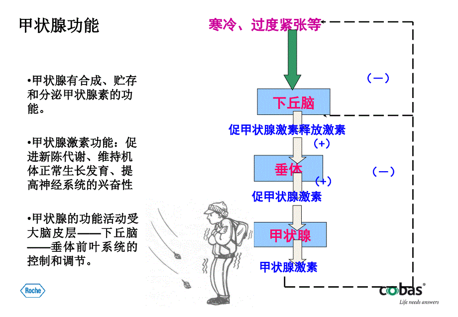 甲状腺验血功能检测的临床意义_第4页