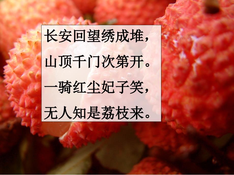 《南洲六月荔枝丹上》PPT课件.ppt_第1页