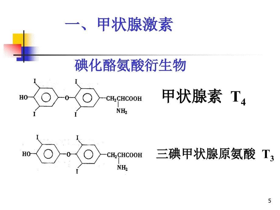 甲状腺及抗甲状腺素药浅定ppt课件_第5页