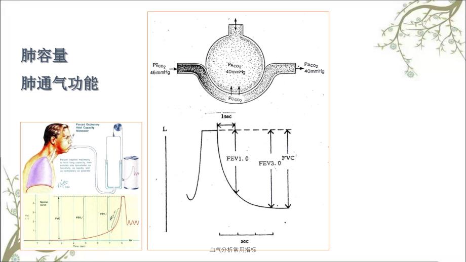 血气分析常用指标课件_第2页