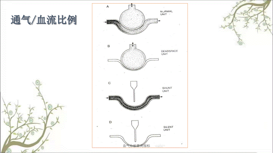 血气分析常用指标课件_第3页