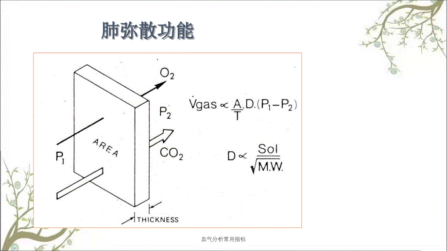 血气分析常用指标课件_第4页