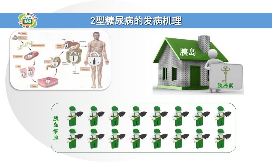 糖尿病的常用药物_第4页